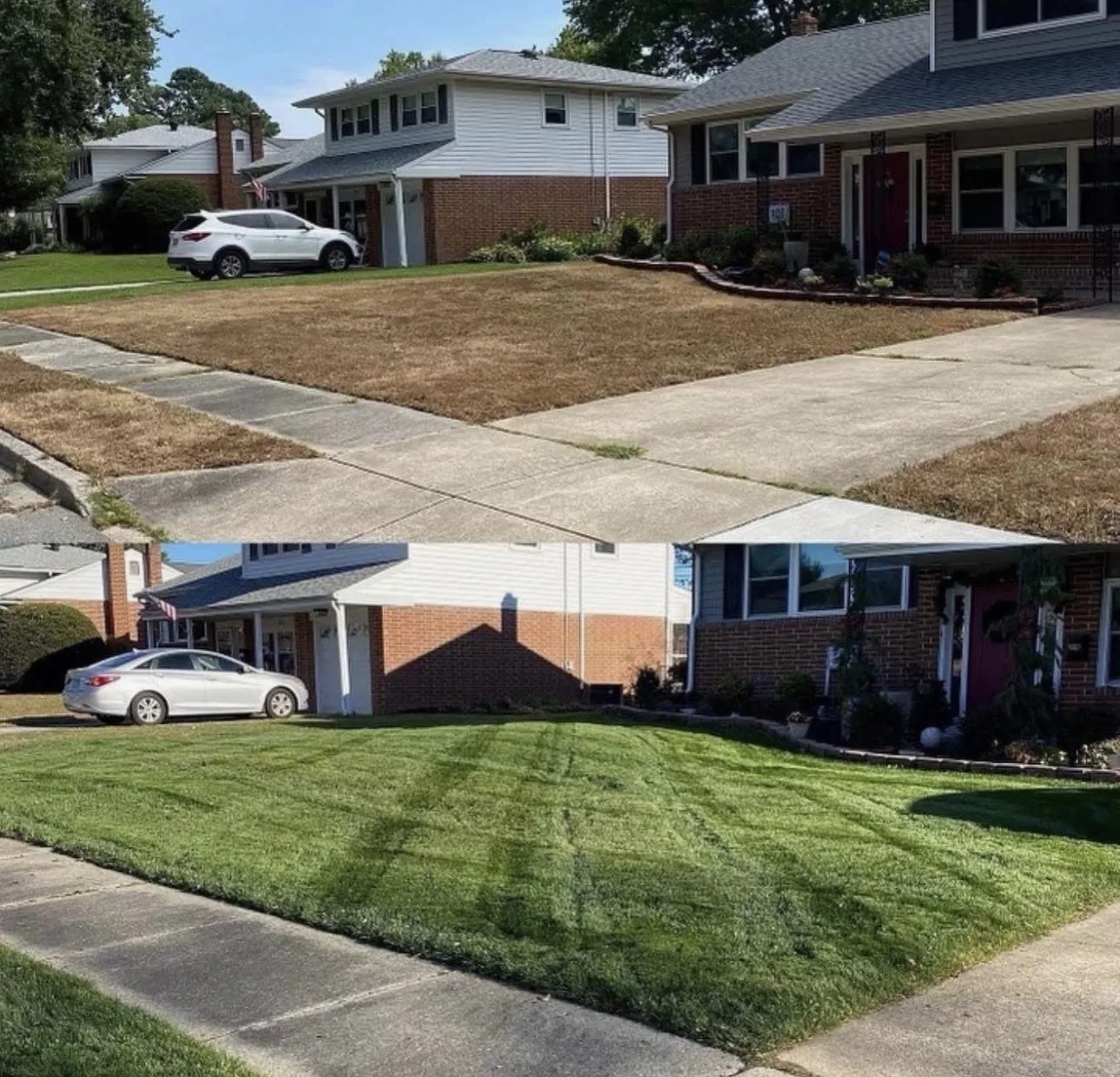Dormant brown lawn brought back to lush green