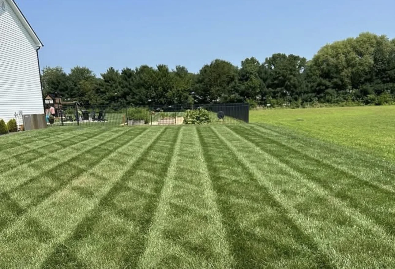 Freshly mowed striped backyard lawn