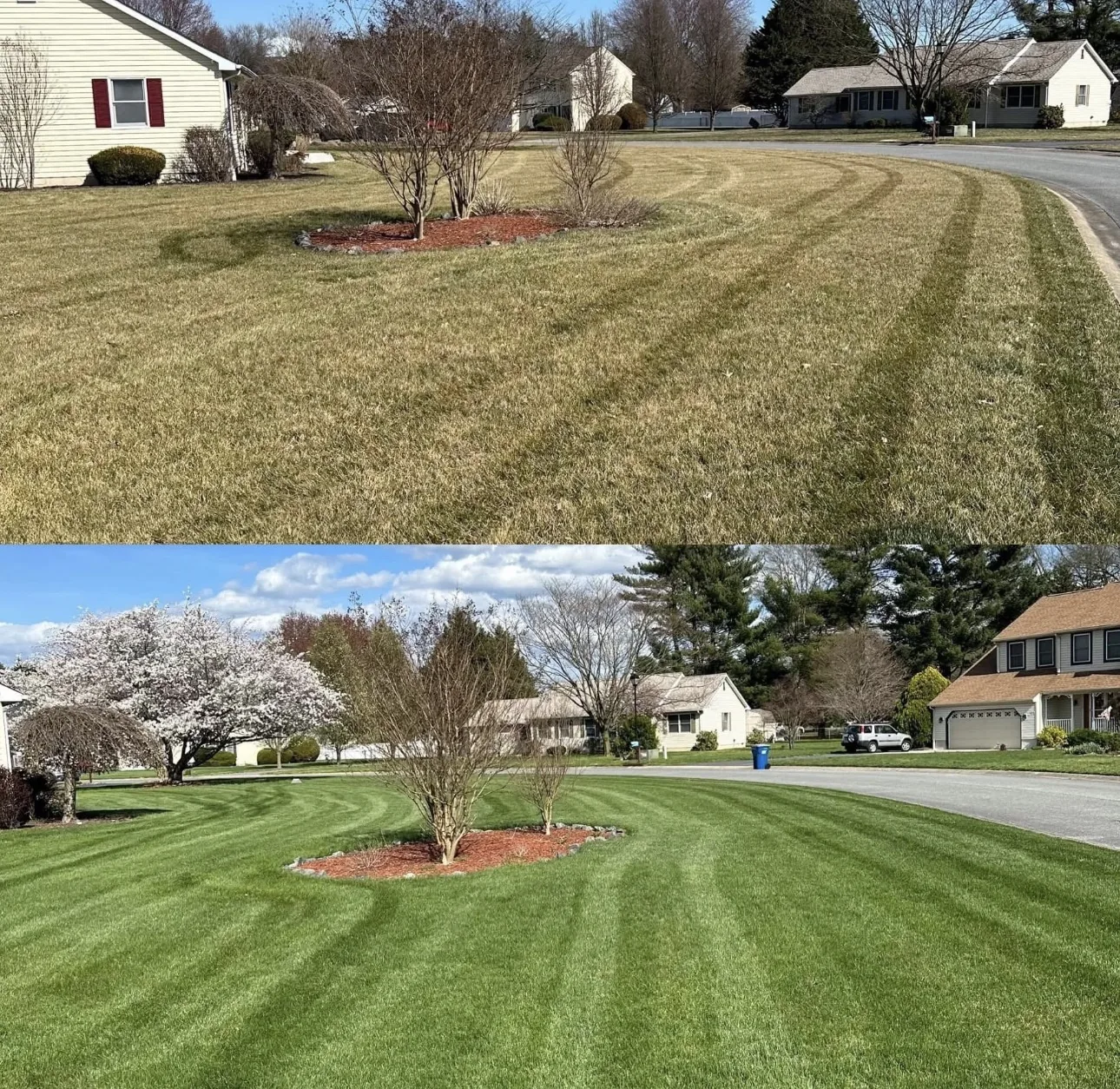 Spring green-up after fertilization program
