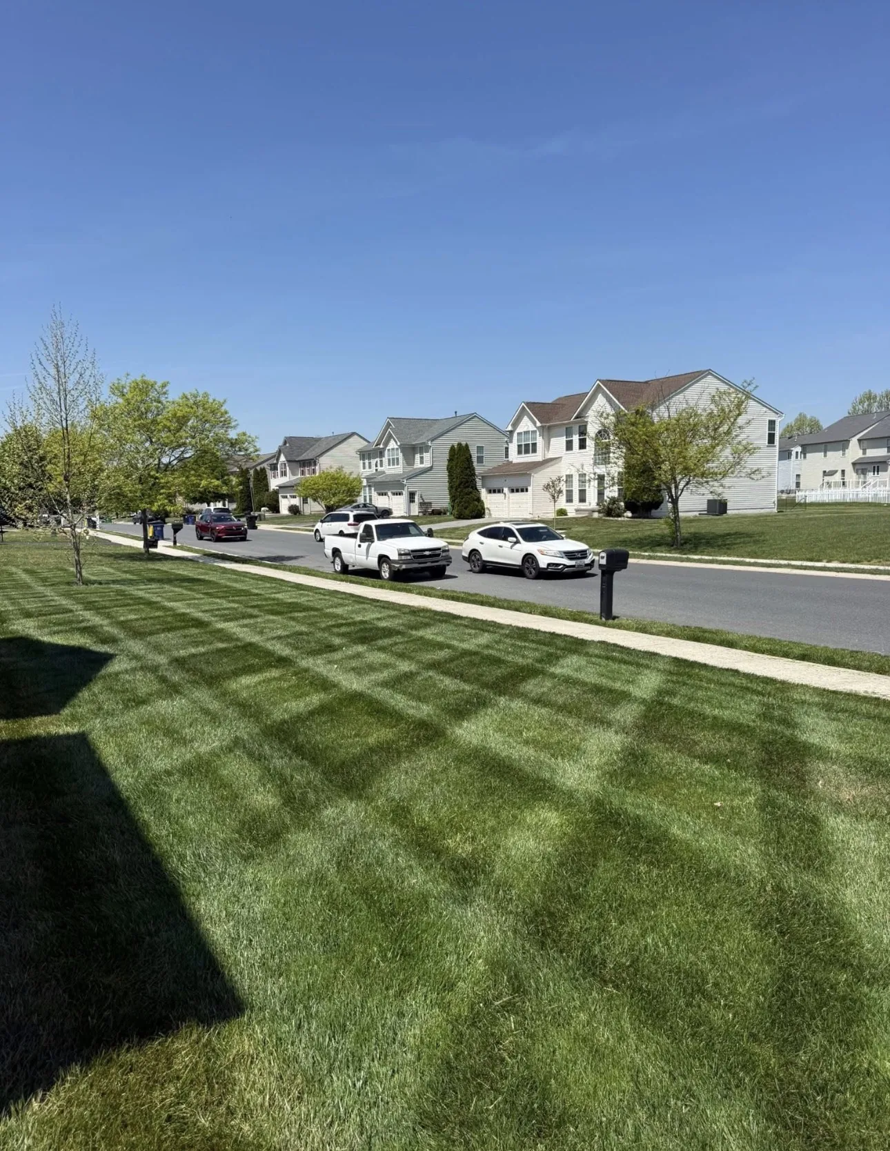 Crisp mowing stripes along a suburban sidewalk