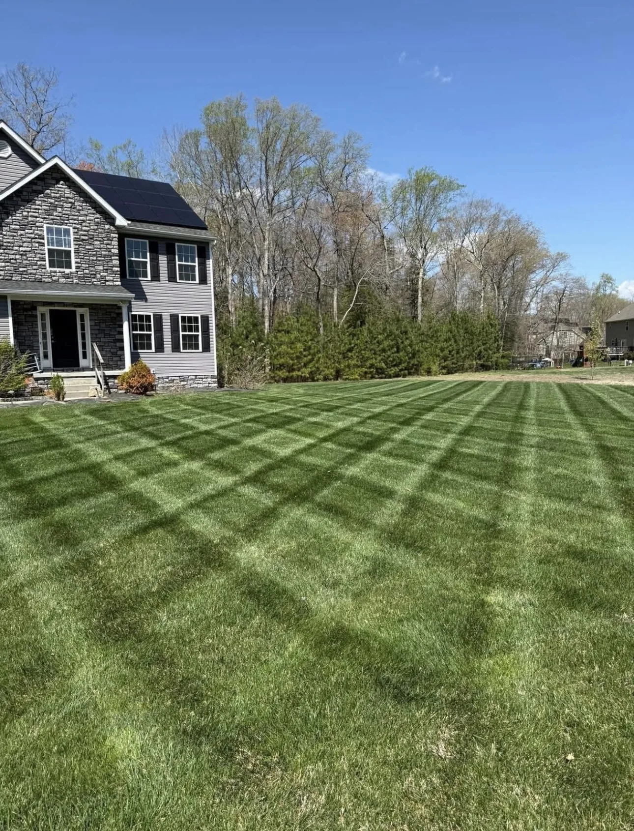 Checkerboard mowing pattern on a healthy front lawn