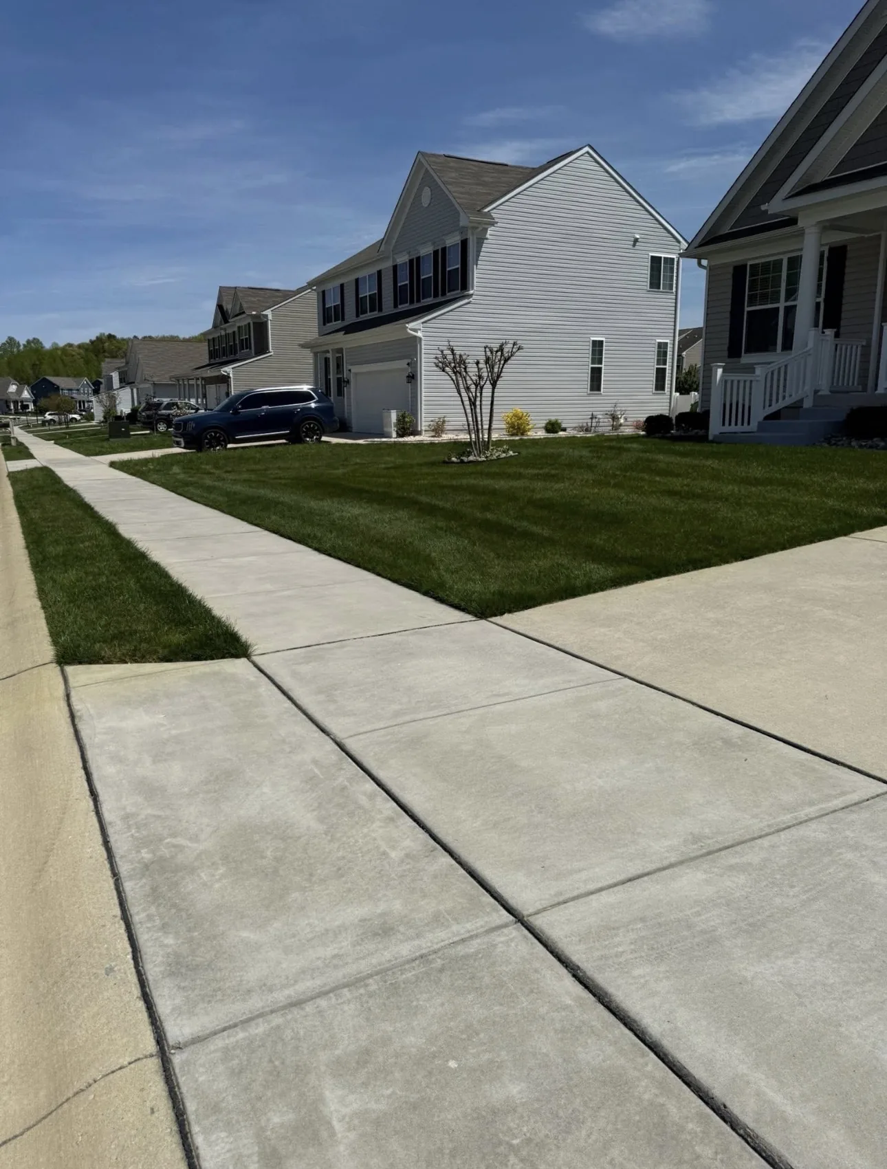 Dark, healthy green front lawn