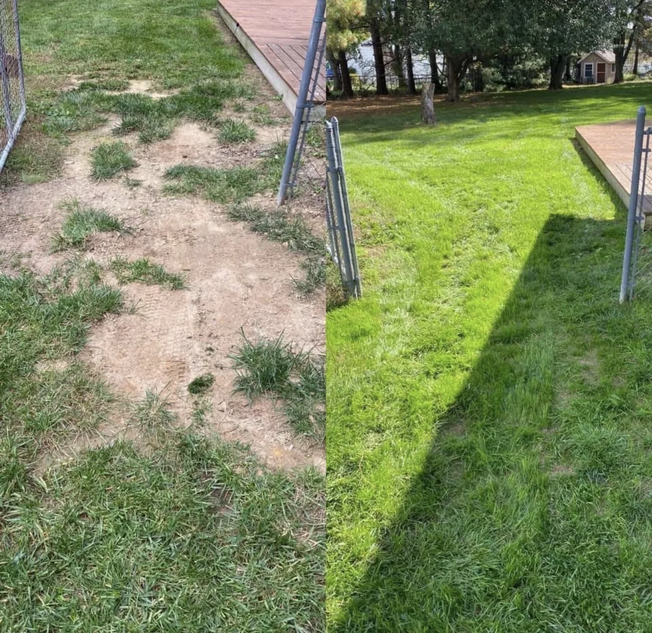 Bare dirt restored to a full, healthy lawn